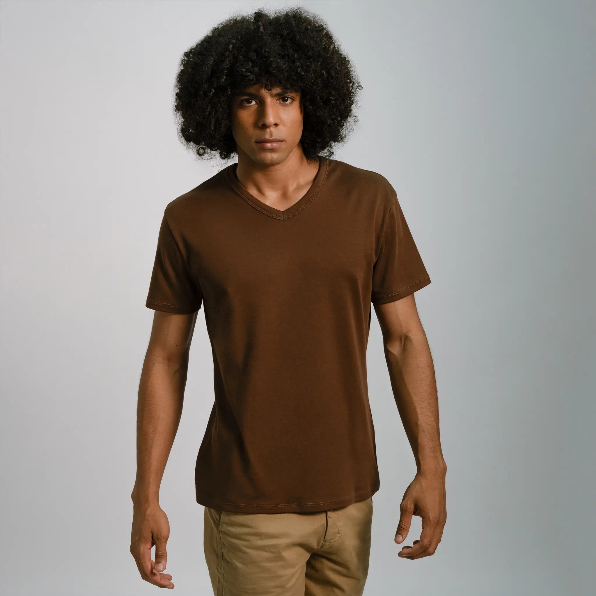 mens all natural tshirt vneck color brown