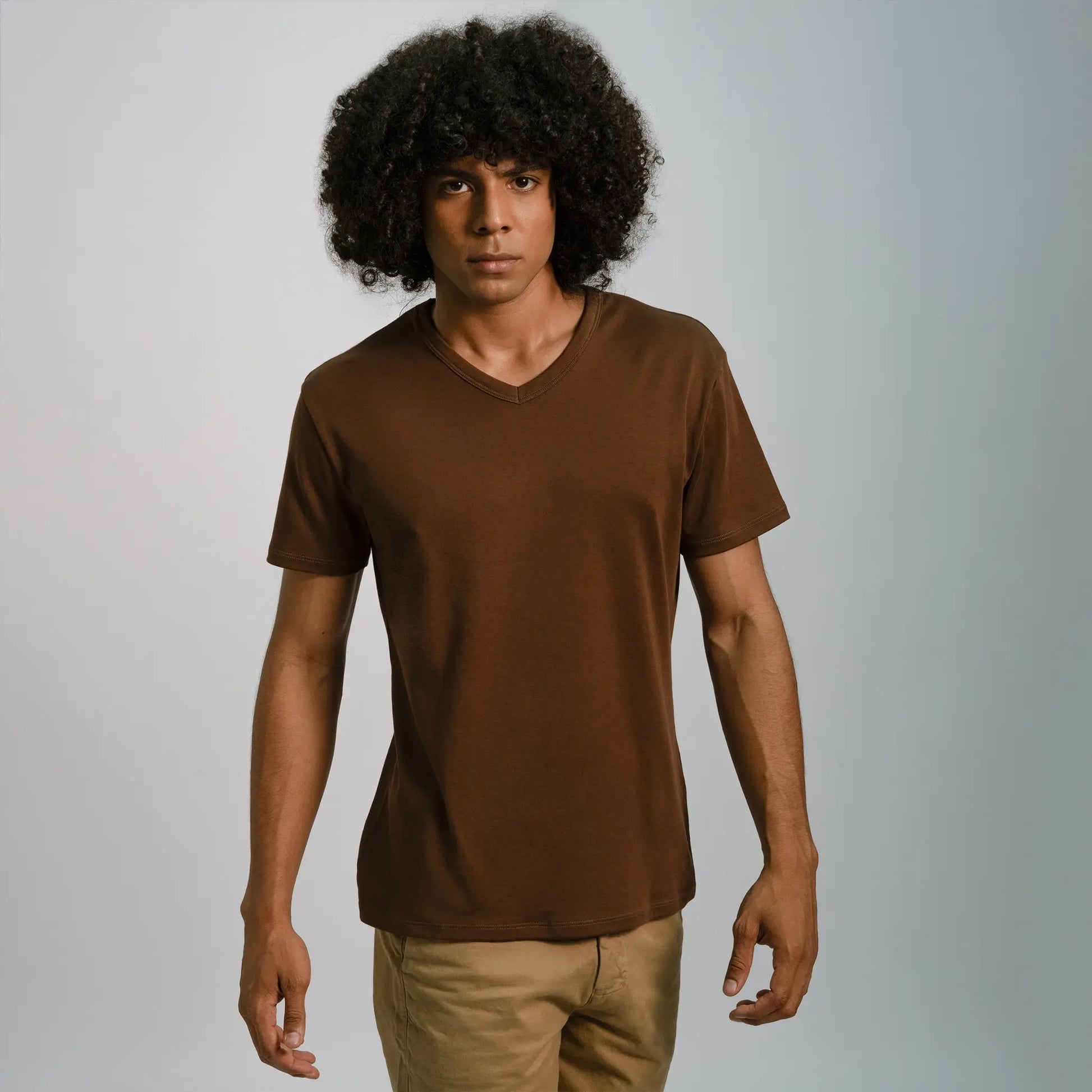 mens all natural tshirt vneck color brown